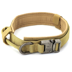 Dog Collar - Visionary Express