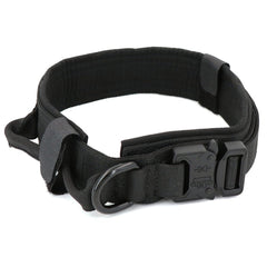 Dog Collar - Visionary Express