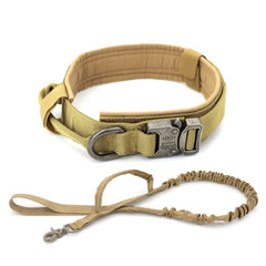 Dog Collar - Visionary Express