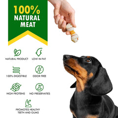 Dog Rawhide Sticks Wrapped with Chicken Pet Natural Chew Treats Grain Free Snack - Visionary Express