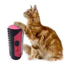 Pet Hair Remover Brush - Visionary Express