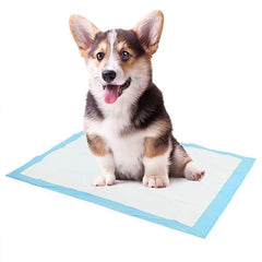 Super Absorbent Pet Diaper Dog Training Pee Pads - Visionary Express